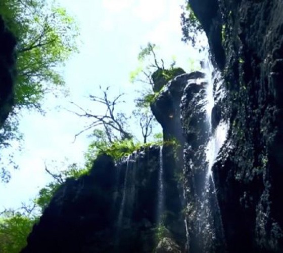 青山綠水，白龍江畔江畔息白鷺，兩岸綠橄欖入眼的都是純樸自然枝上花開(kāi)，春來(lái)水暖魚(yú)蝦戲水，鳥(niǎo)語(yǔ)花香心中充滿(mǎn)著舒暢之感祥宇生態(tài)產(chǎn)業(yè)園，位于隴南市武..